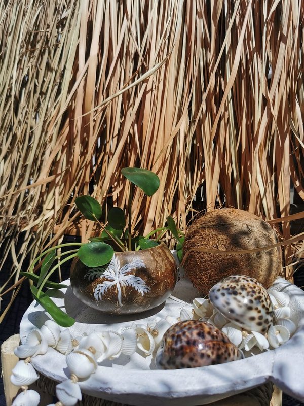 Kokosnuss - Dekoschale - White Palm